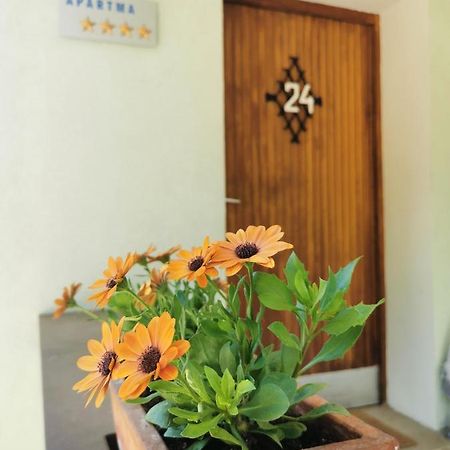 Apartma Rekar - A House, Where You Can Relax In The Embrace Of Nature Jesenice Εξωτερικό φωτογραφία