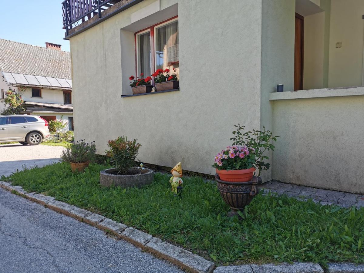 Apartma Rekar - A House, Where You Can Relax In The Embrace Of Nature Jesenice Εξωτερικό φωτογραφία