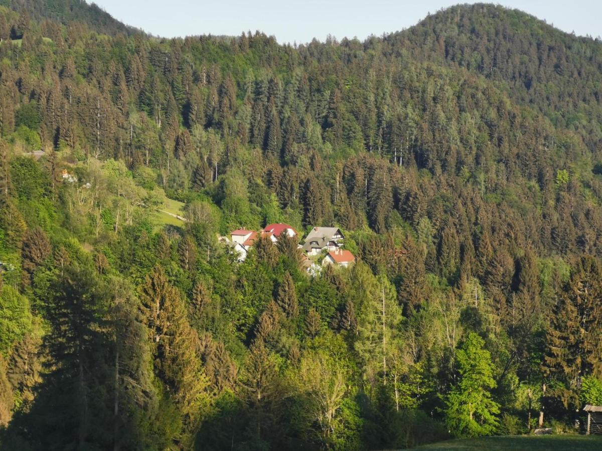 Apartma Rekar - A House, Where You Can Relax In The Embrace Of Nature Jesenice Εξωτερικό φωτογραφία