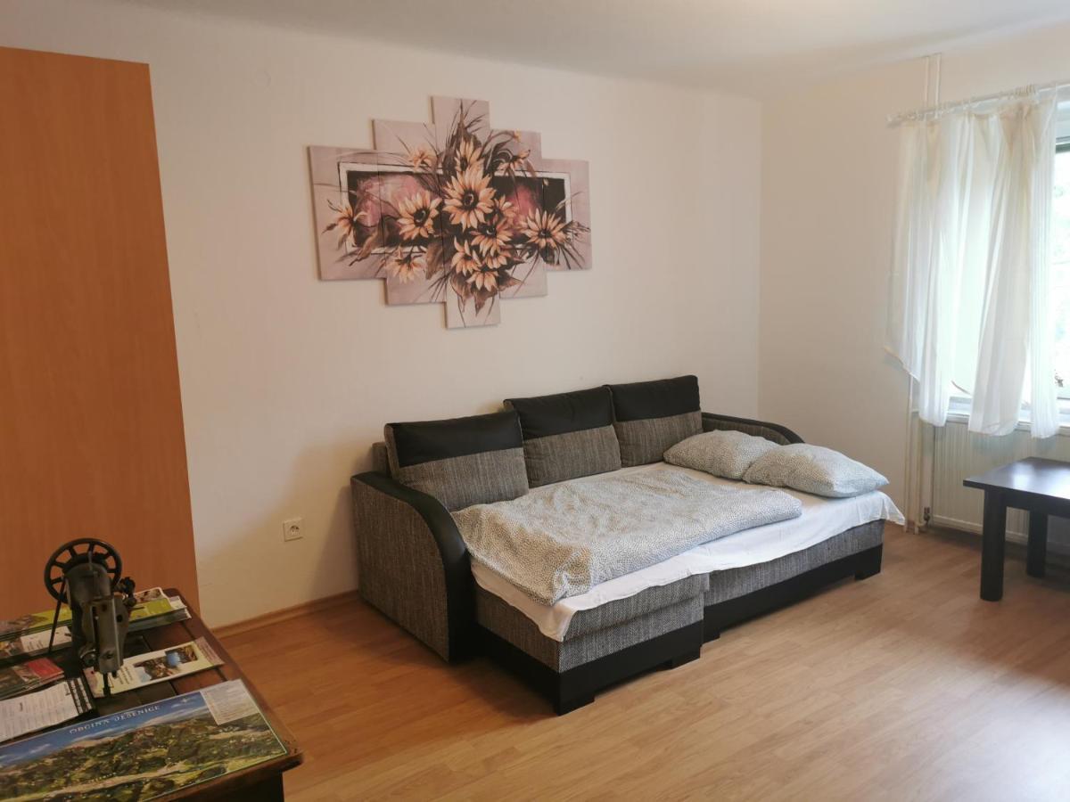 Apartma Rekar - A House, Where You Can Relax In The Embrace Of Nature Jesenice Εξωτερικό φωτογραφία